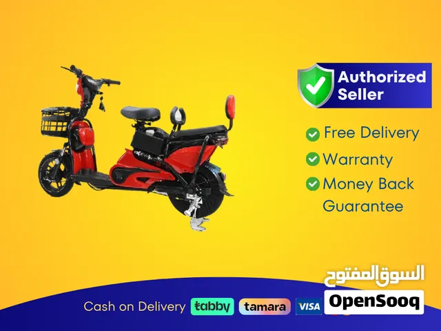 Wind Horse M2 Electric Bike, M2
