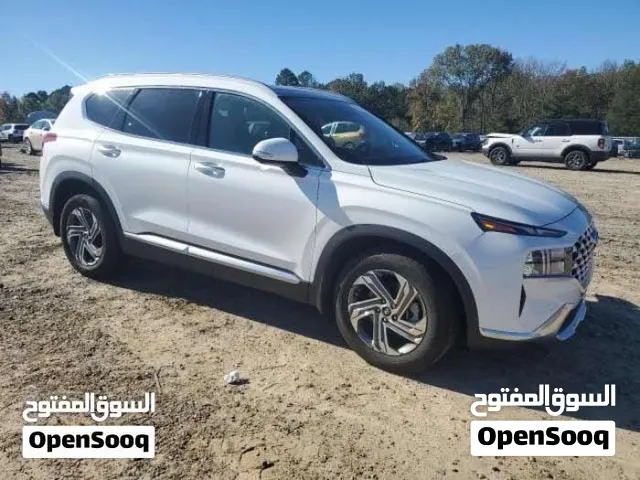 سنتافيا وارد امريكي موديل 2023