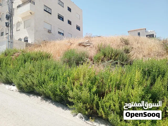 قطعه ارض بمساحة 580 متر مربع تقع في إسكان المهندسين الزراعيين