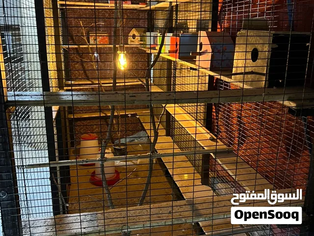 محميه للبيع تفصال حديد ثقيل