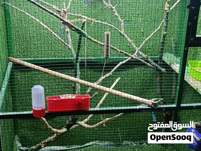 محمية بلابل