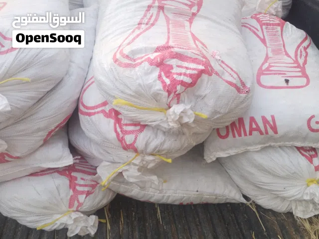 تمر نفيعة جديد للبيع