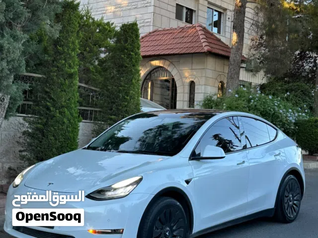 تيسلا LANG RANGE AWD Y 2022