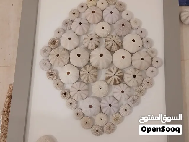 Handmade Framed Sea Urchin Wall Art. 60×90CM