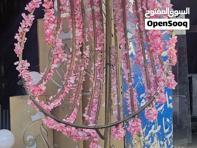 عش العصفور جاهز