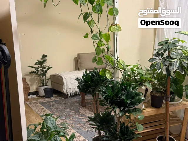 مرايه عموديه لون ابيض