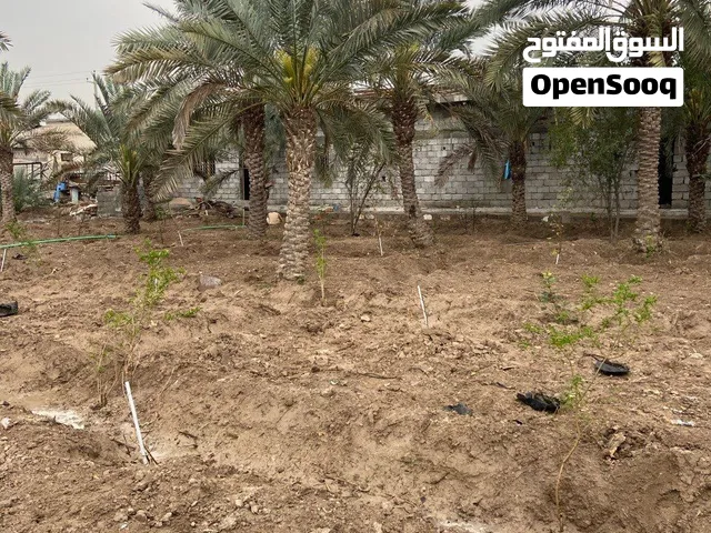 بستان للاستثمار والايجار لمشروع شاليه او منتجع ترفيهي