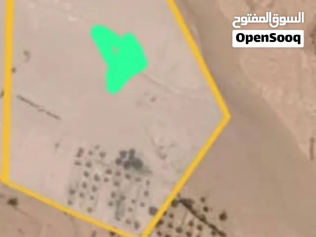 المساحة (8) فدان