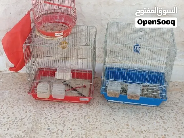 3 اقفاص عصافير مع اغراضهم
