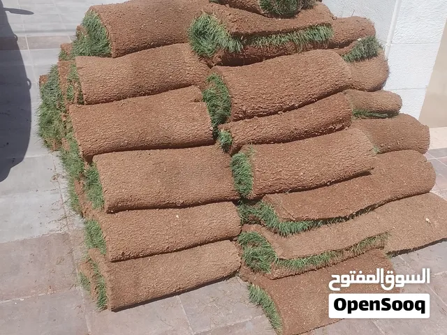 توريد وتركيب النجيل الطبيعي
