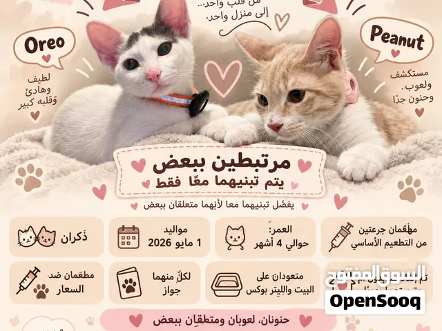 أوريو وPeanut للتبني معًا فقط