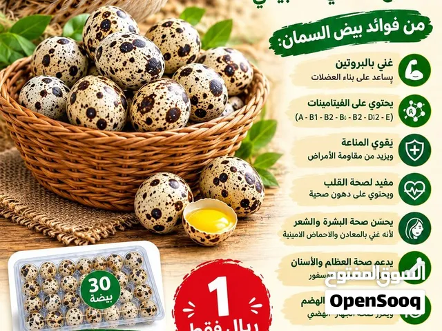 بيض سمان مخصب وللأكل