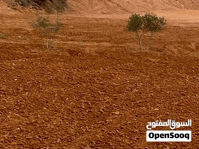 راض للبيع في مدينة زليتن