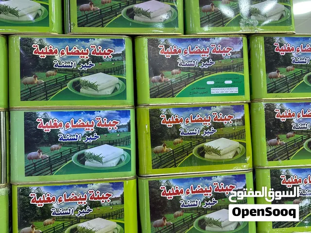 جبنة بيضاء مغلية