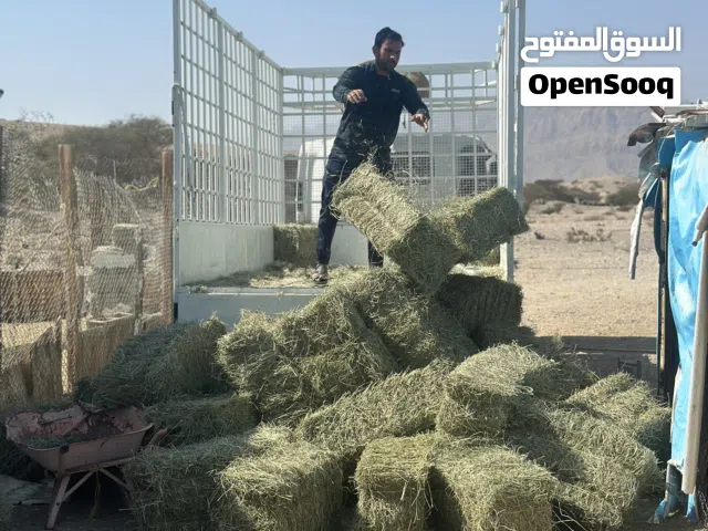 نتميز بحشائش افضل من حشائش السوق بجودة ممتازة احجز ويصلك إلى بيتك