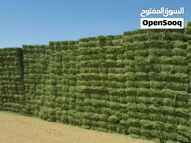 مشروع زراعي للبيع في شندي