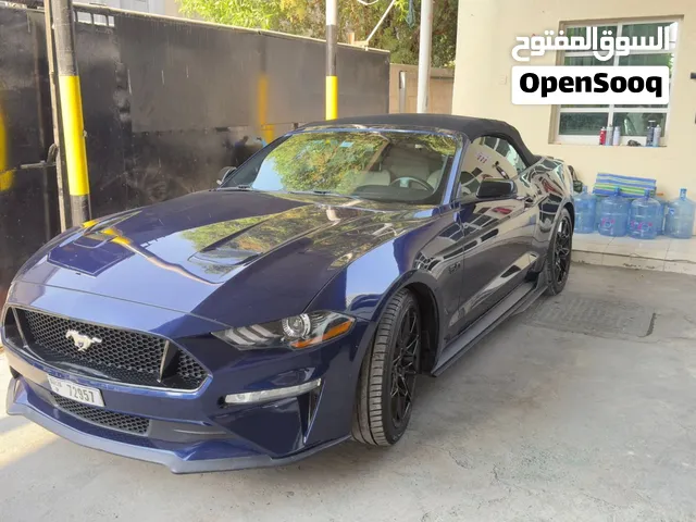 موستنج 2019