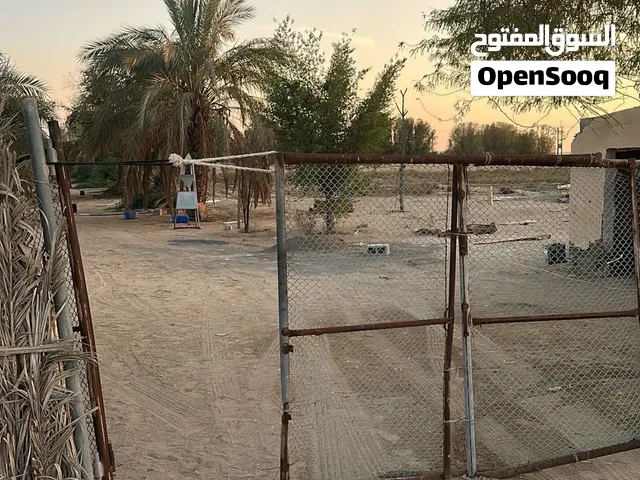 Farm Land for Rent in Al Ain Other