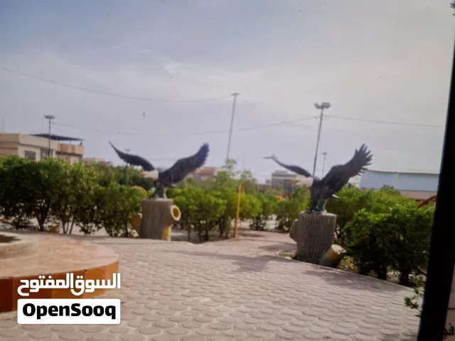 ارض للاجار او الاستثمال تصلح مشتل وهواي مشاريع