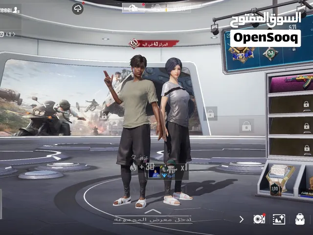 Pubg Accounts and Characters for Sale in Northern Governorate