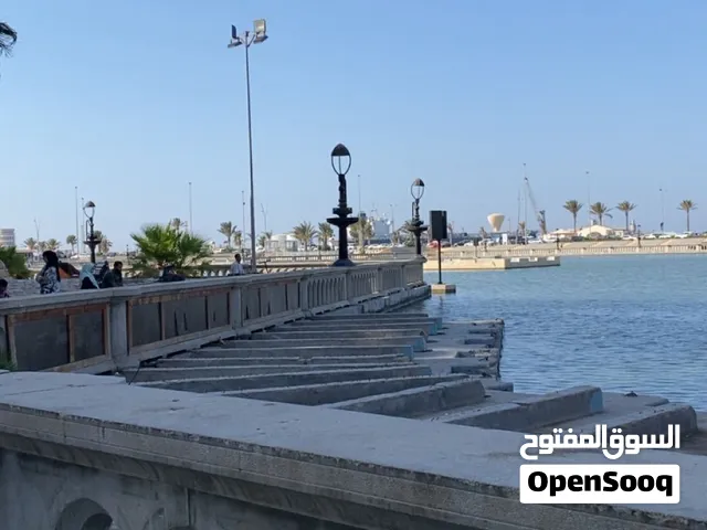 مطلوب غرفة او سكن جماعي او ستوديو