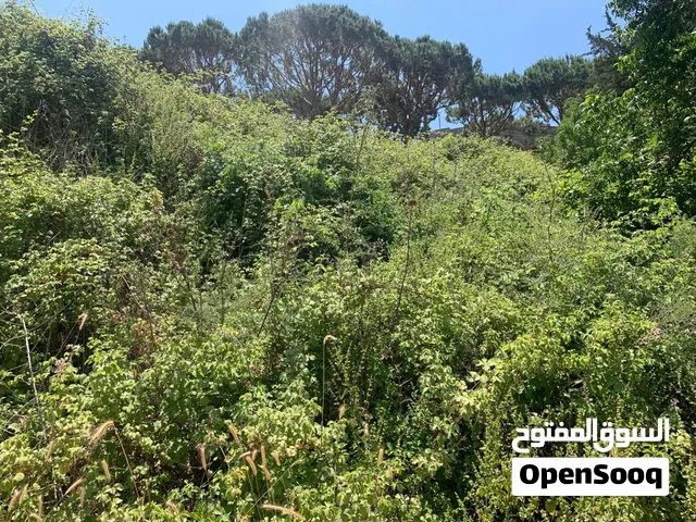 Land for Sale in Aabey – 750 m2