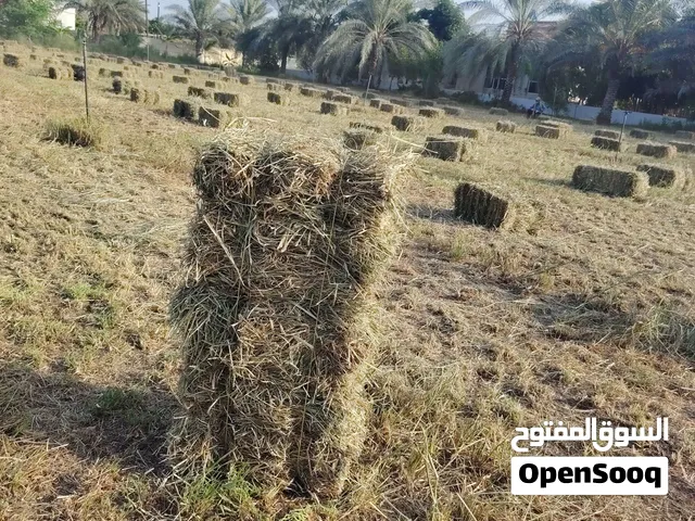 برايد سويق  يوجد توصيل