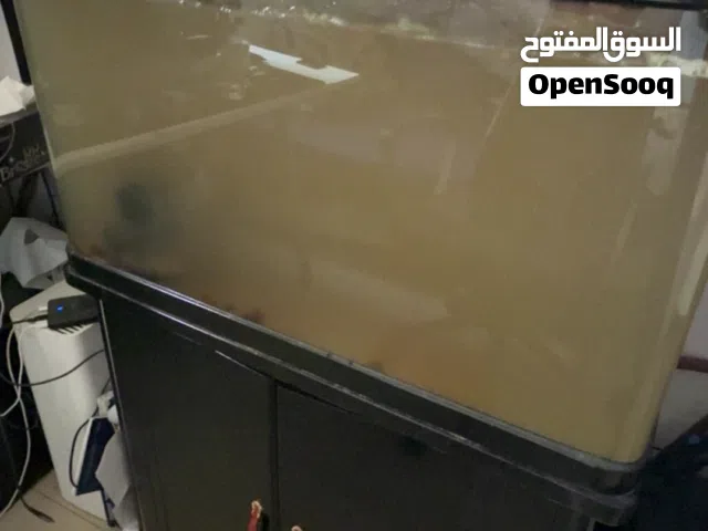 حوض مع فلتر خارجي