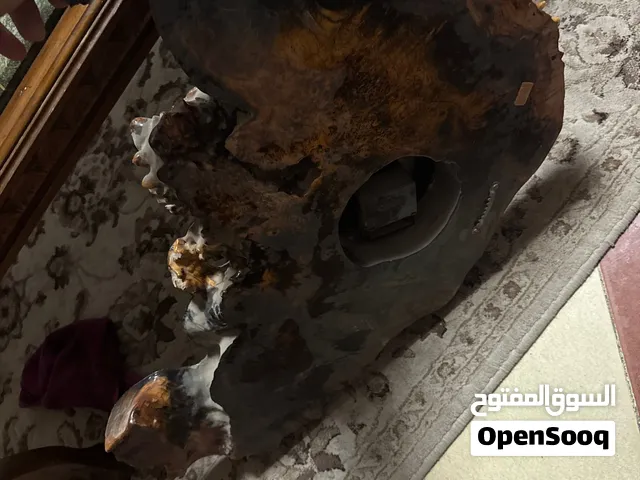خشب لامبر احمر نادر 2 انش