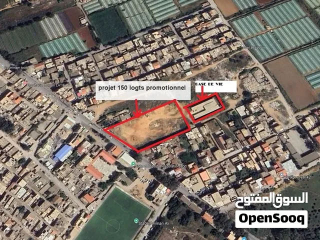 Terrain de 5 380 m2 à Fouka – Façade commerciale de 55 m – Idéal pour promotion immobilière