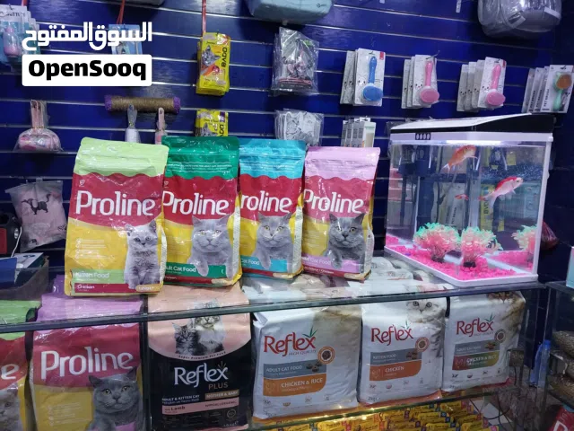 كل أنواع اكل القطط