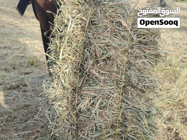 برايد سويق يوجد توصيل