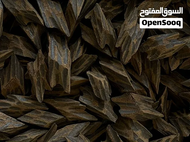 عود تايجر فيتنامي درجة أولى