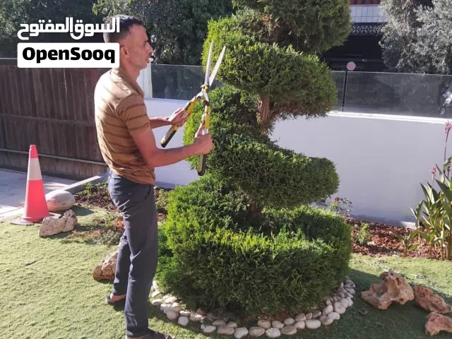 تنسيق حديقة قص شجر تقليم تزيين تعشيب رش ادويه ومبيدات سماد مكافحة اوبئة حفر بير زرب تفصيل منقل