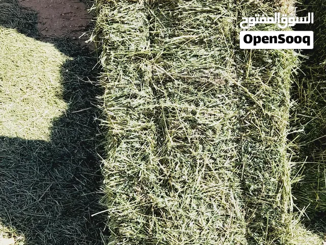 علف حيواني