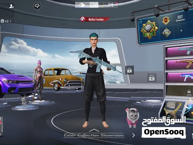 Pubg Accounts and Characters for Sale in Southern Governorate