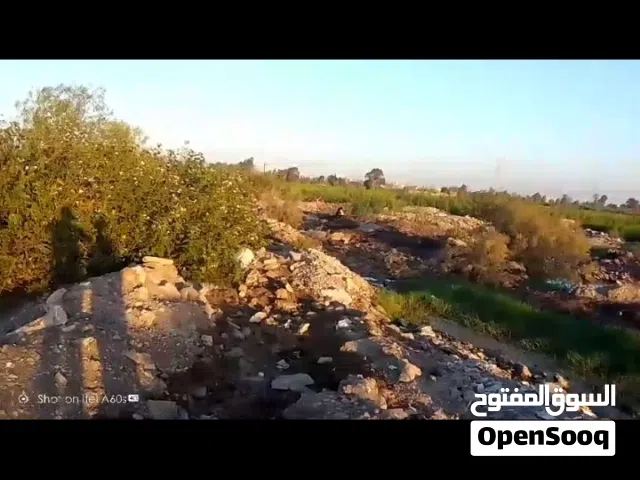 ارض للبيع بتقسيم المنيرة