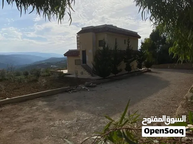 4316 m2 More than 6 bedrooms Townhouse for Sale in Jerash Al-Kittah