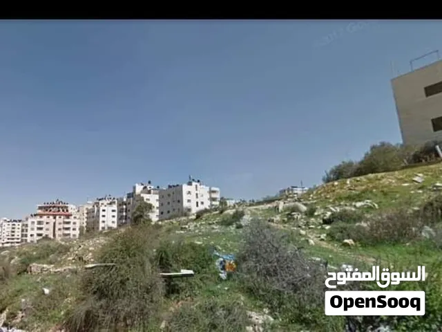 ارض للبيع بيرزيت من جهت أبو شخيدم قريبه من جامعه بيرزيت