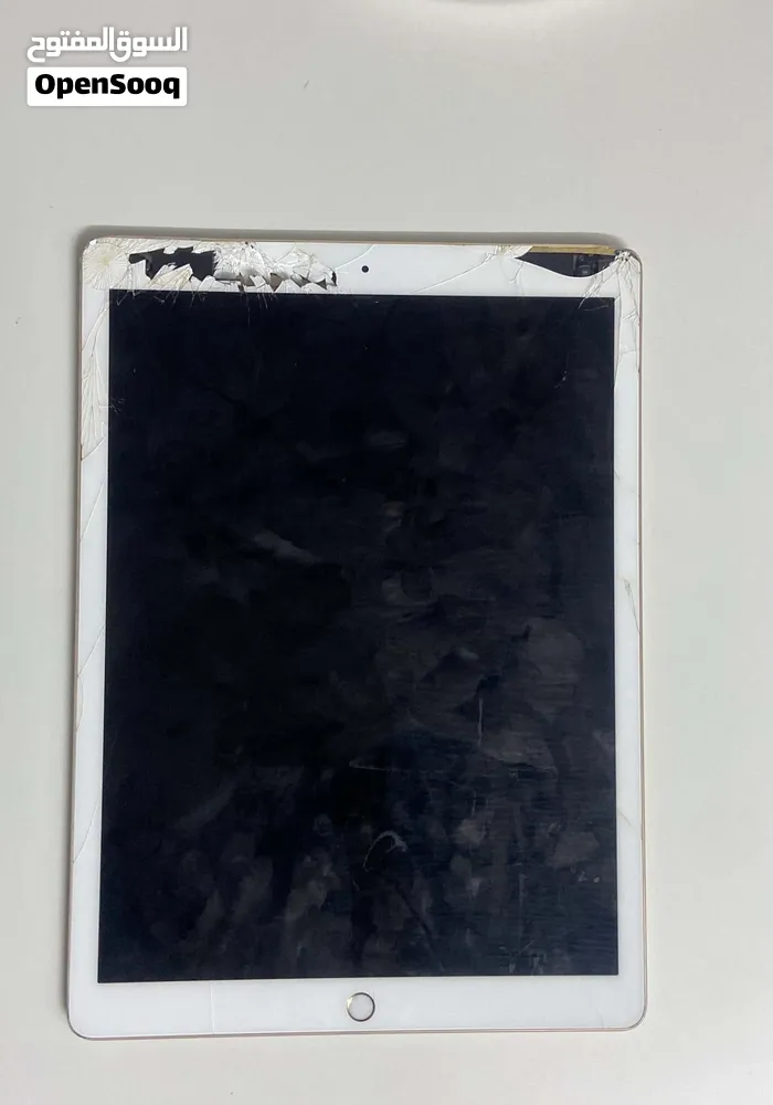 ipad apple pro