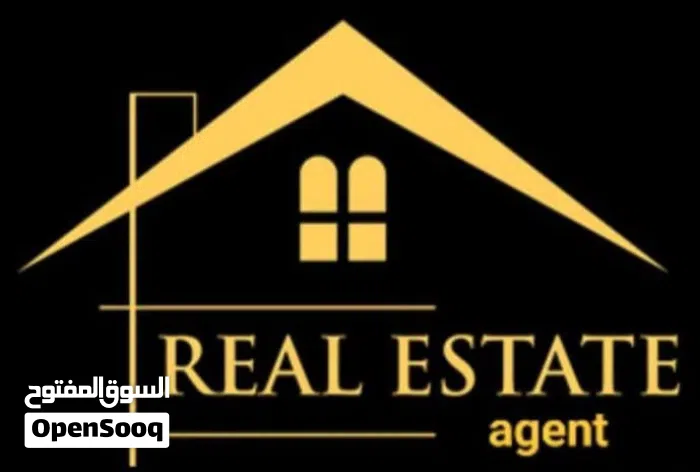 Real Estate Agent
